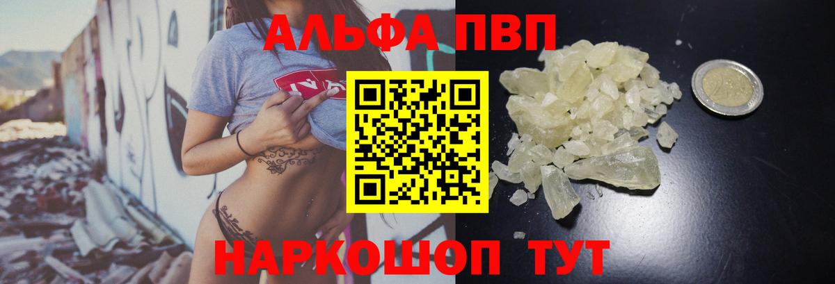 Альфа ПВП СК КРИС Малгобек