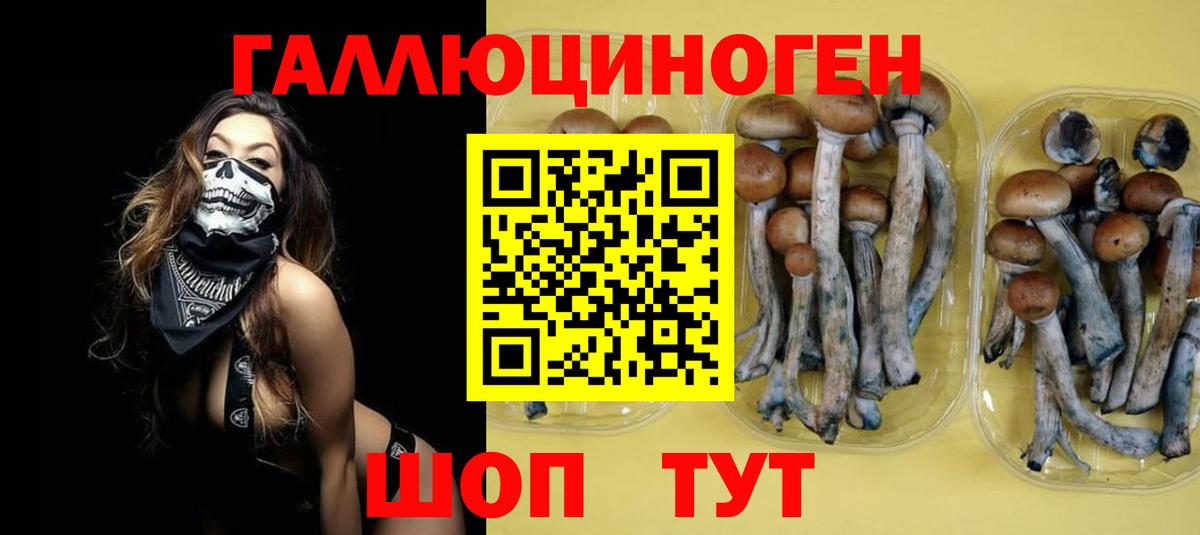 Псилоцибиновые грибы MAGIC MUSHROOMS  Вход с VPN  Галлюциногенные грибы Cubensis  Малгобек 